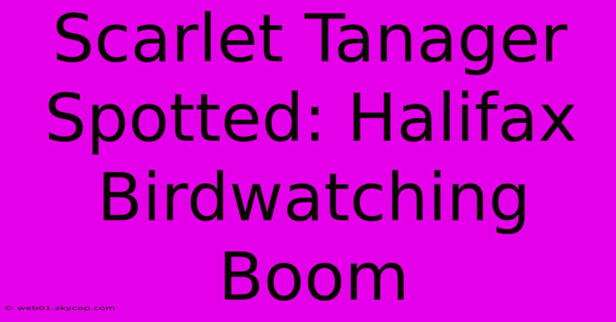 Scarlet Tanager Spotted: Halifax Birdwatching Boom