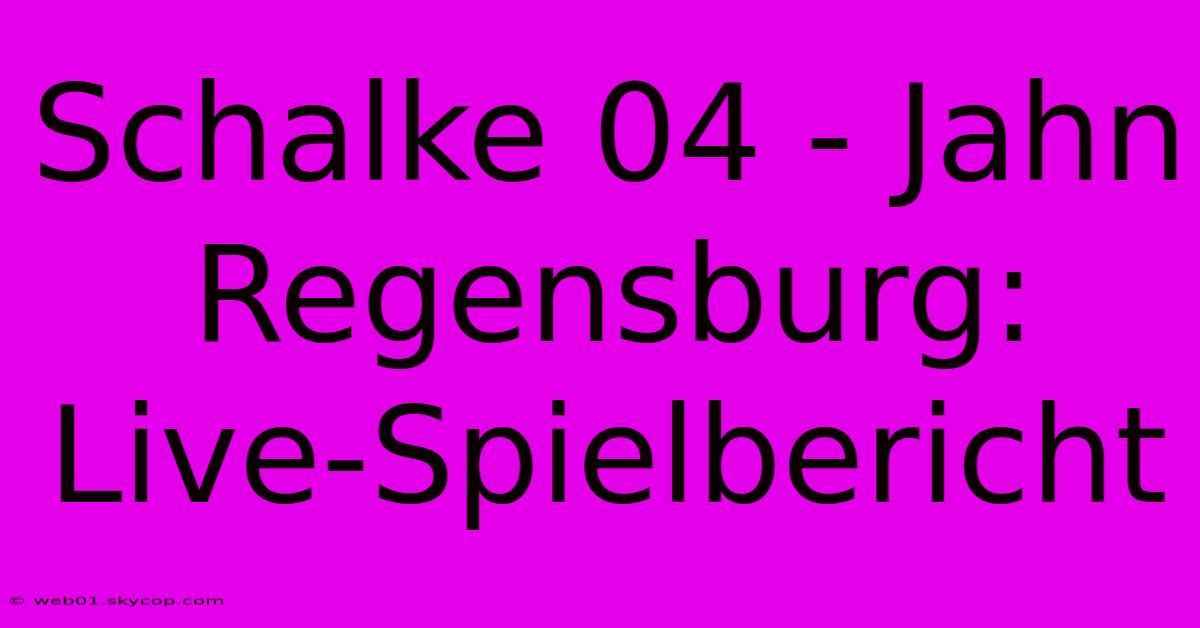 Schalke 04 - Jahn Regensburg: Live-Spielbericht