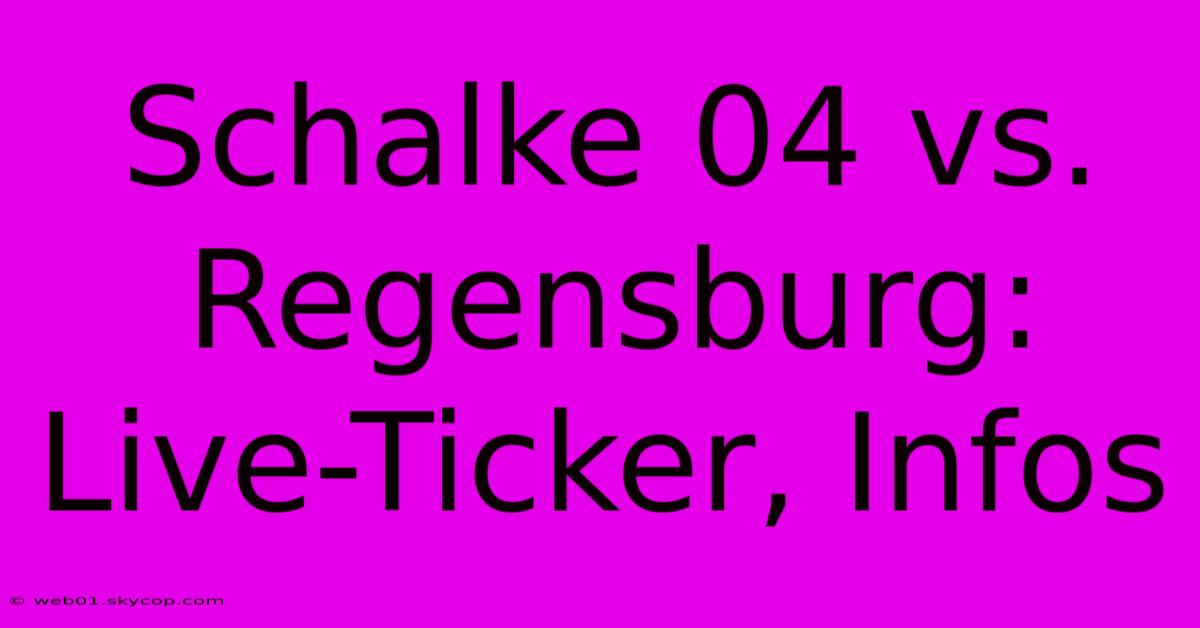 Schalke 04 Vs. Regensburg: Live-Ticker, Infos 