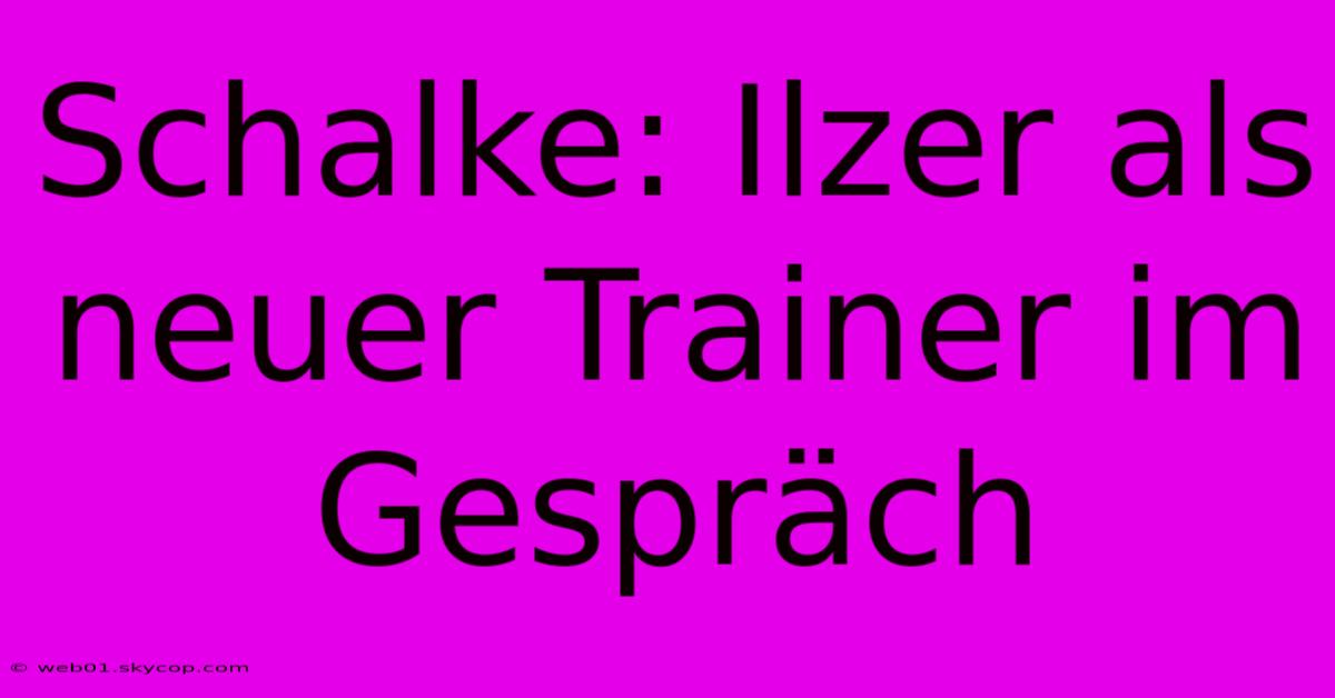 Schalke: Ilzer Als Neuer Trainer Im Gespräch