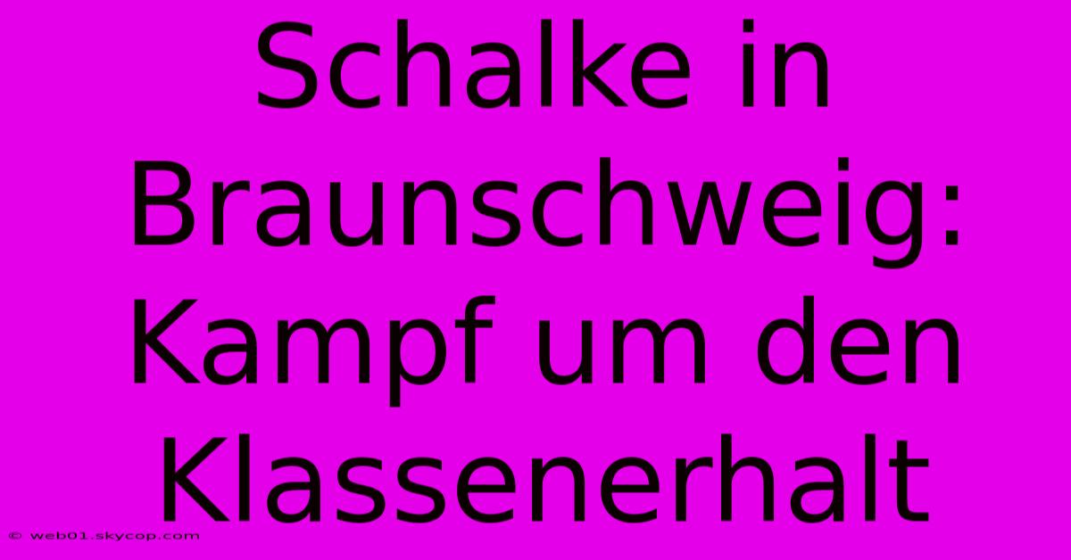Schalke In Braunschweig: Kampf Um Den Klassenerhalt 