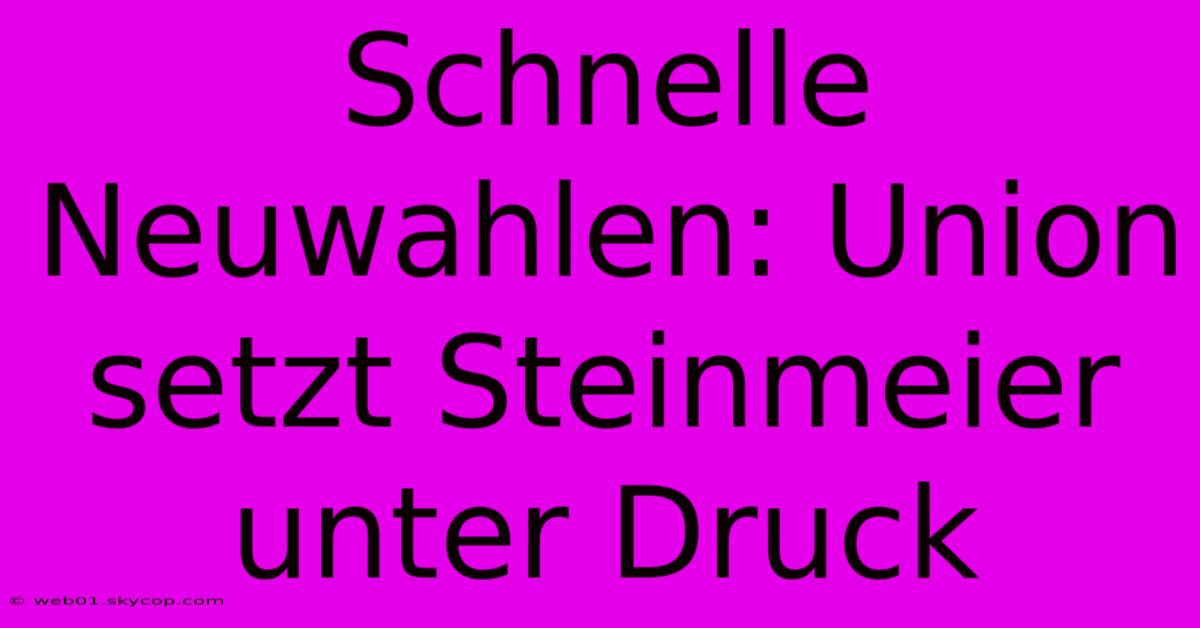 Schnelle Neuwahlen: Union Setzt Steinmeier Unter Druck 