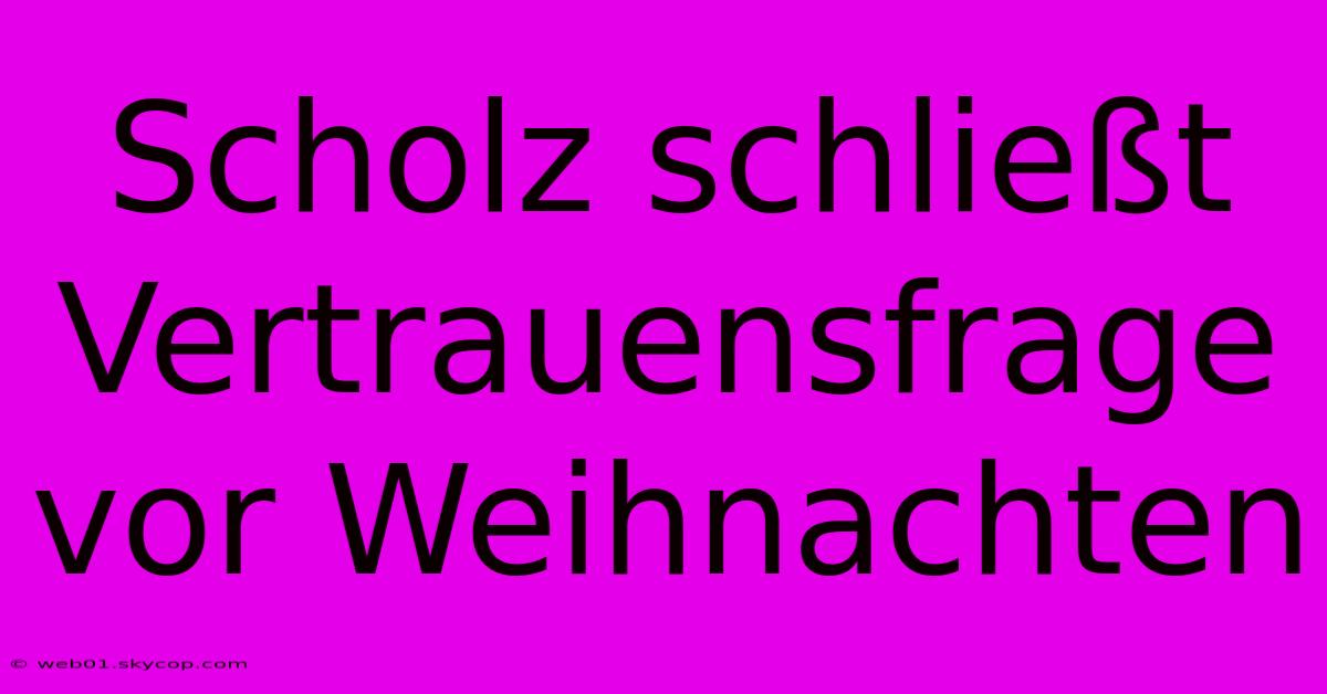 Scholz Schließt Vertrauensfrage Vor Weihnachten