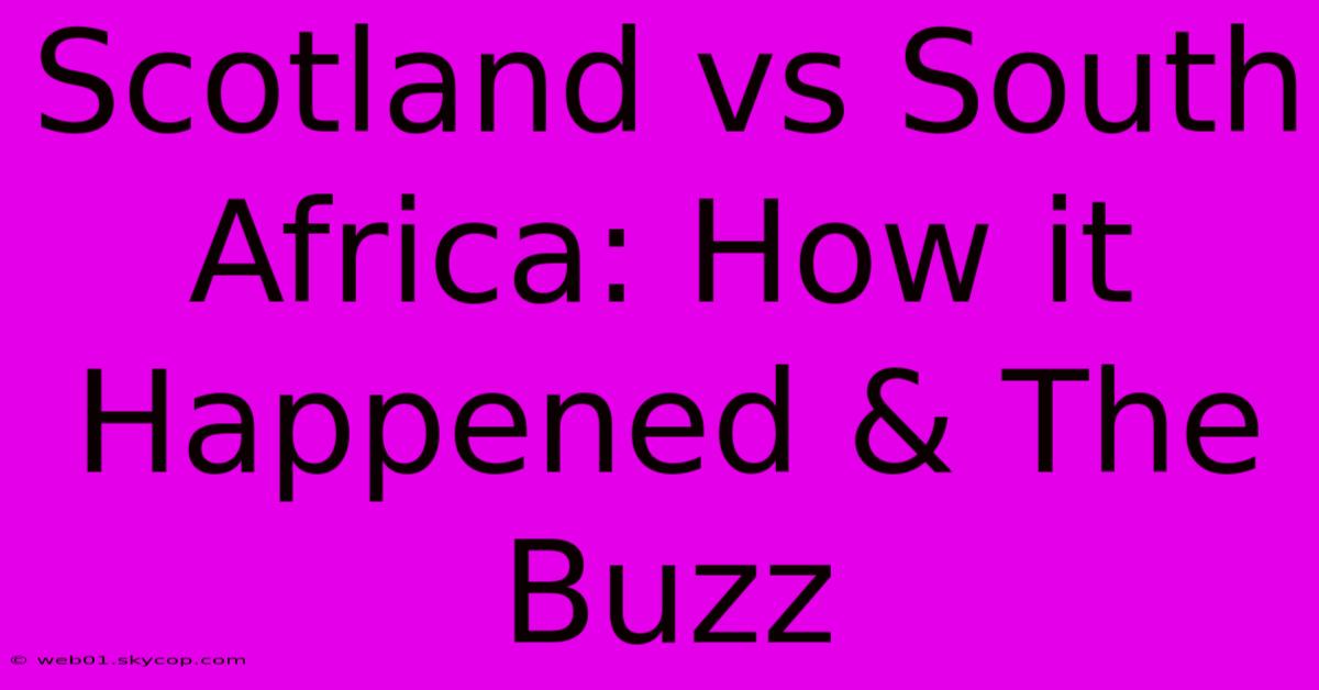 Scotland Vs South Africa: How It Happened & The Buzz 