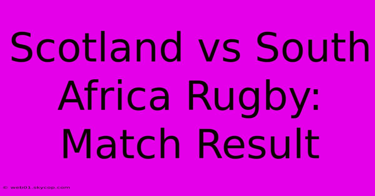 Scotland Vs South Africa Rugby: Match Result