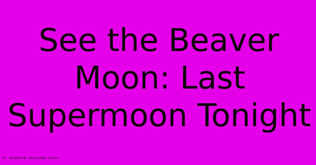 See The Beaver Moon: Last Supermoon Tonight 