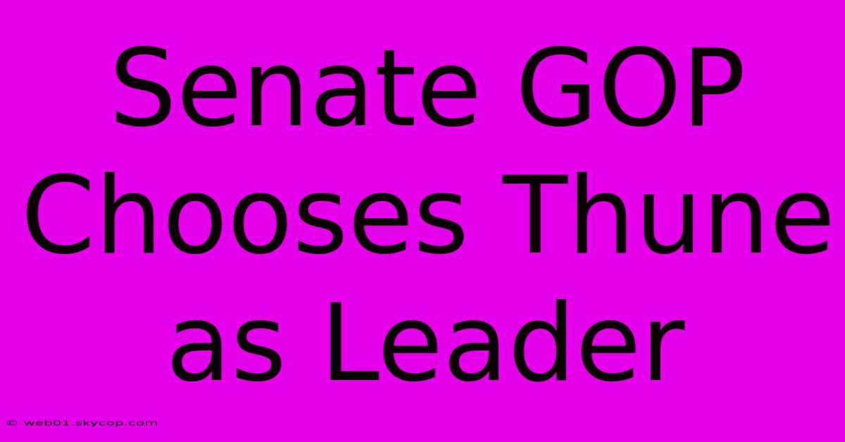 Senate GOP Chooses Thune As Leader