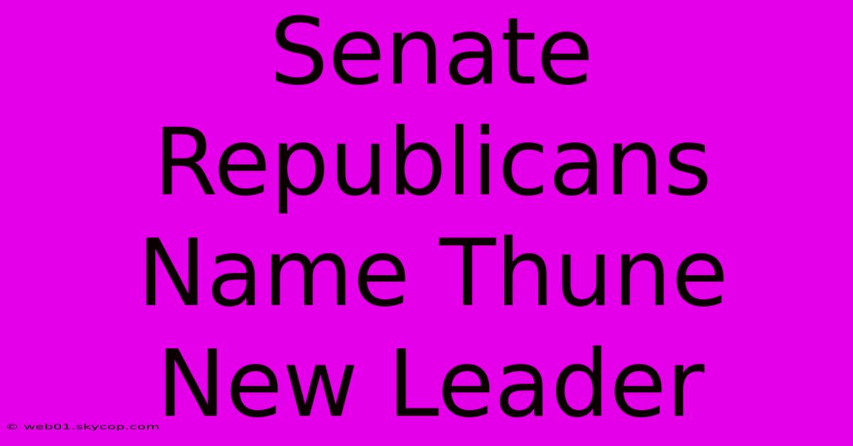 Senate Republicans Name Thune New Leader 