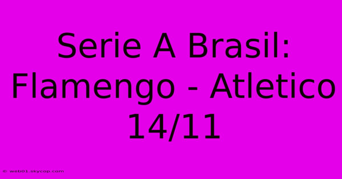 Serie A Brasil: Flamengo - Atletico 14/11