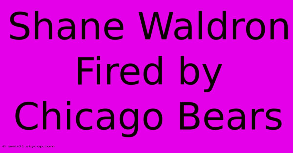 Shane Waldron Fired By Chicago Bears