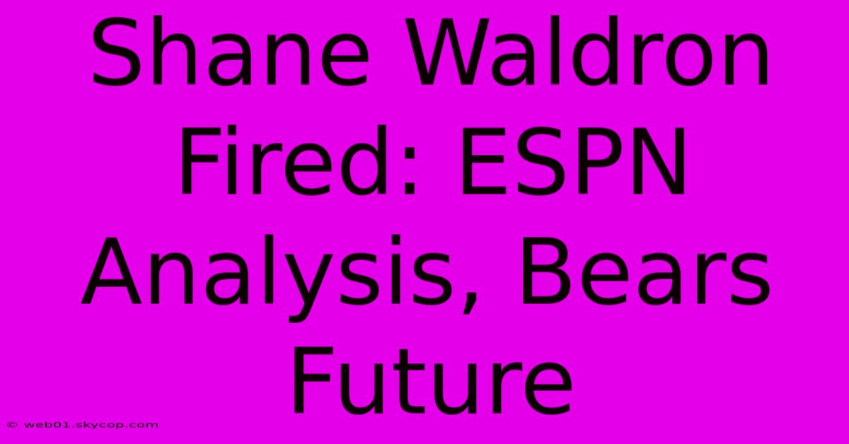 Shane Waldron Fired: ESPN Analysis, Bears Future