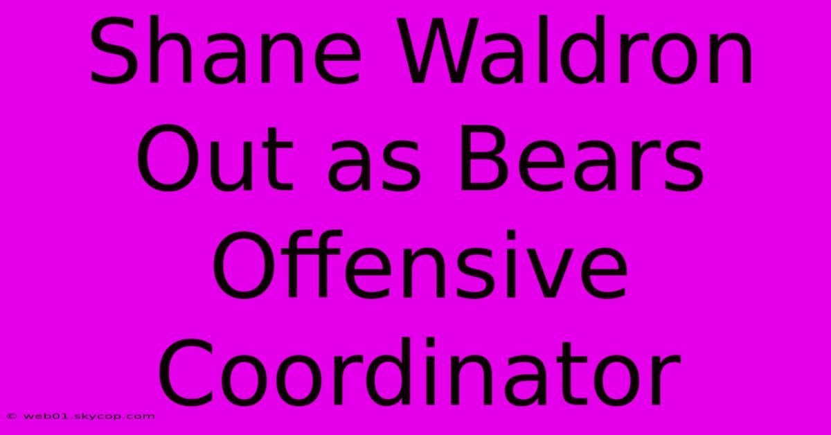 Shane Waldron Out As Bears Offensive Coordinator