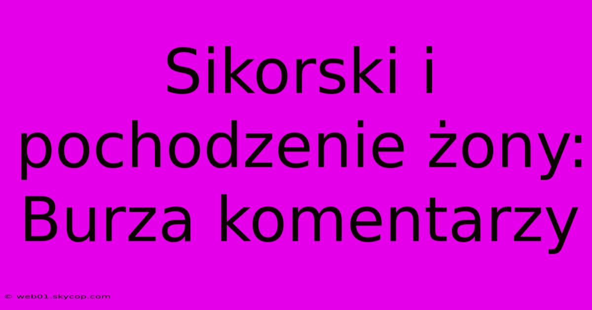 Sikorski I Pochodzenie Żony: Burza Komentarzy