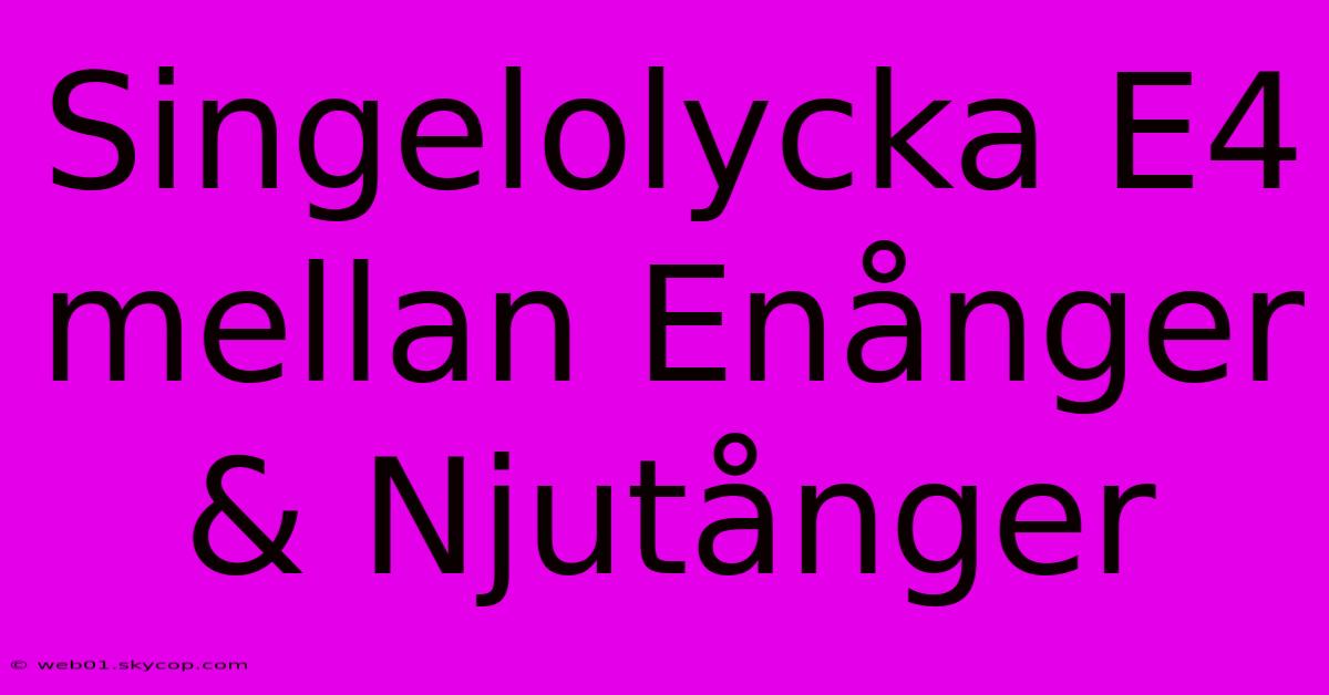 Singelolycka E4 Mellan Enånger & Njutånger