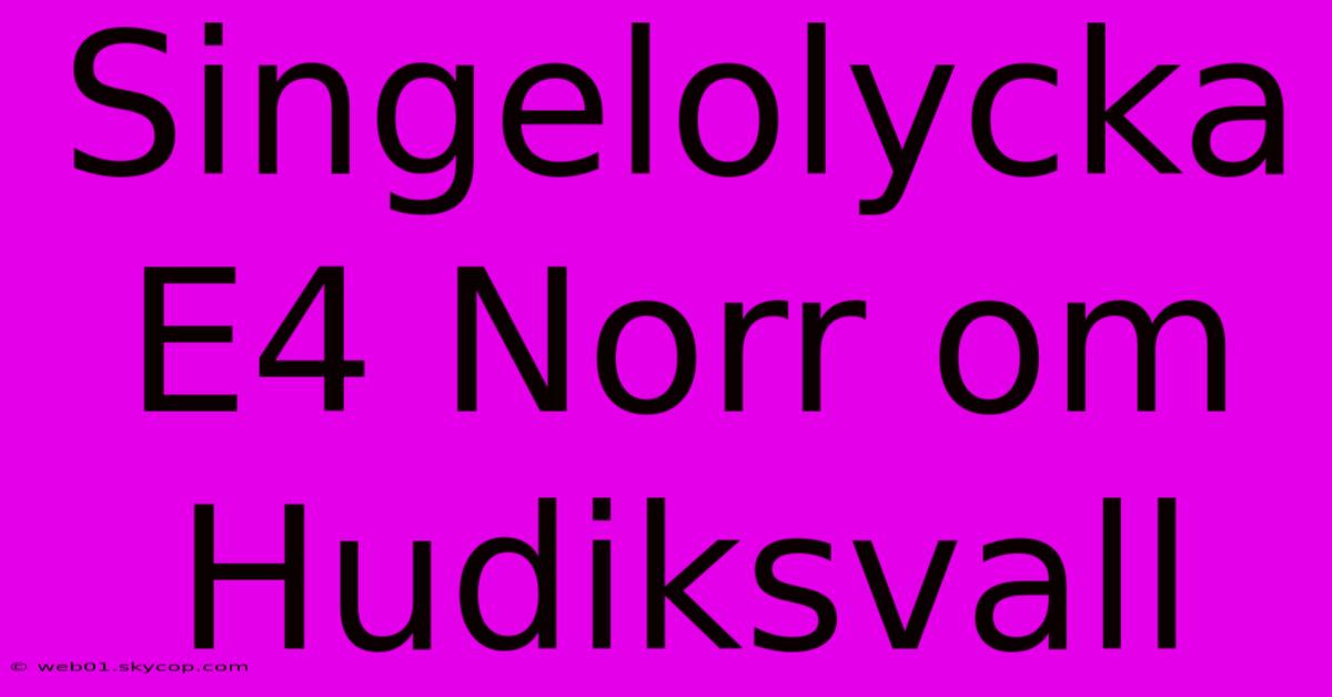 Singelolycka E4 Norr Om Hudiksvall