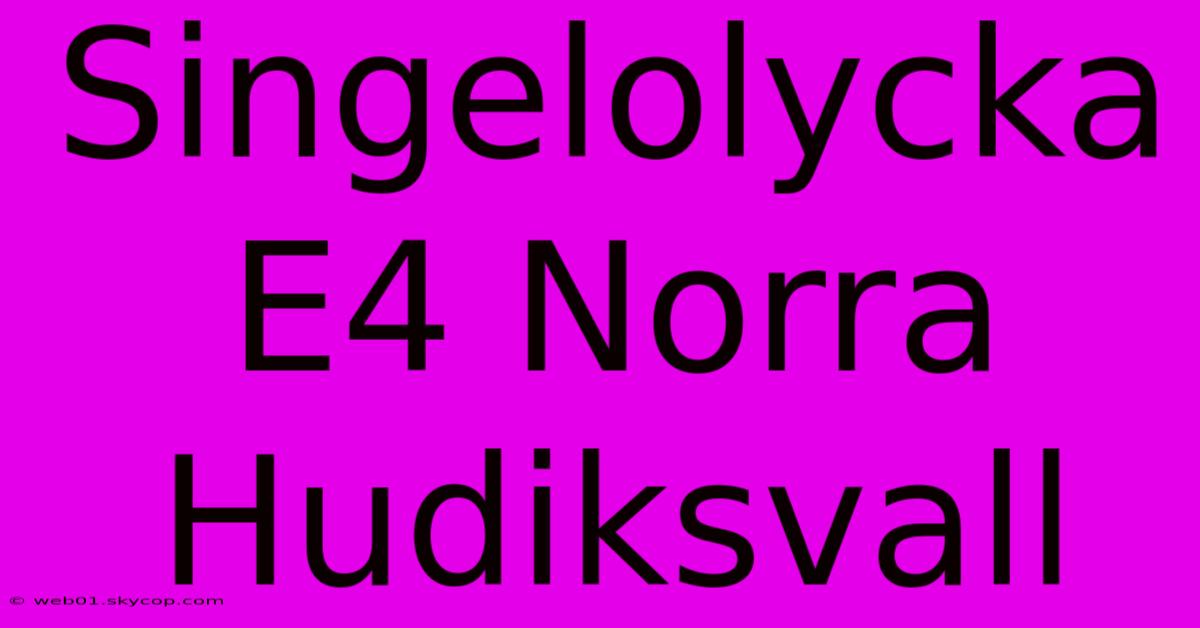 Singelolycka E4 Norra Hudiksvall