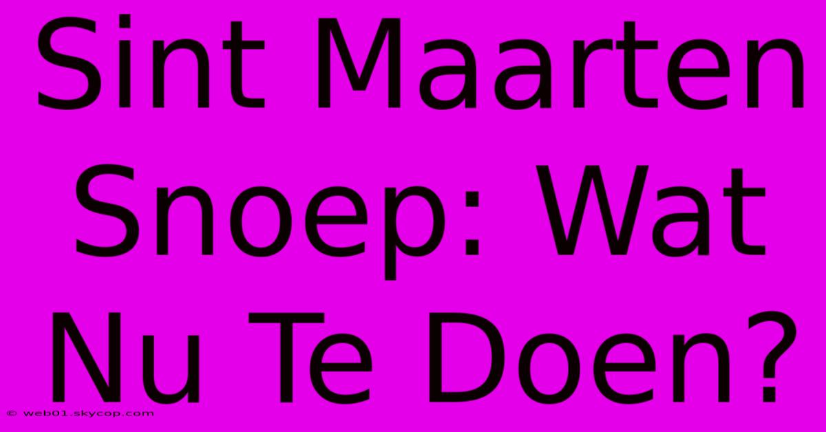 Sint Maarten Snoep: Wat Nu Te Doen?