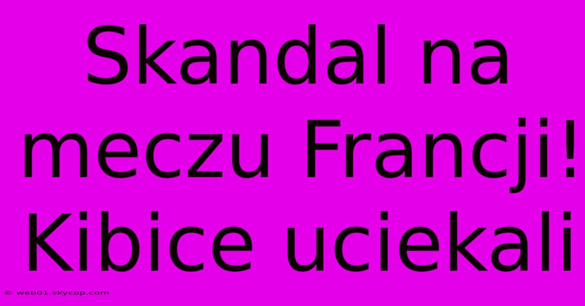 Skandal Na Meczu Francji! Kibice Uciekali