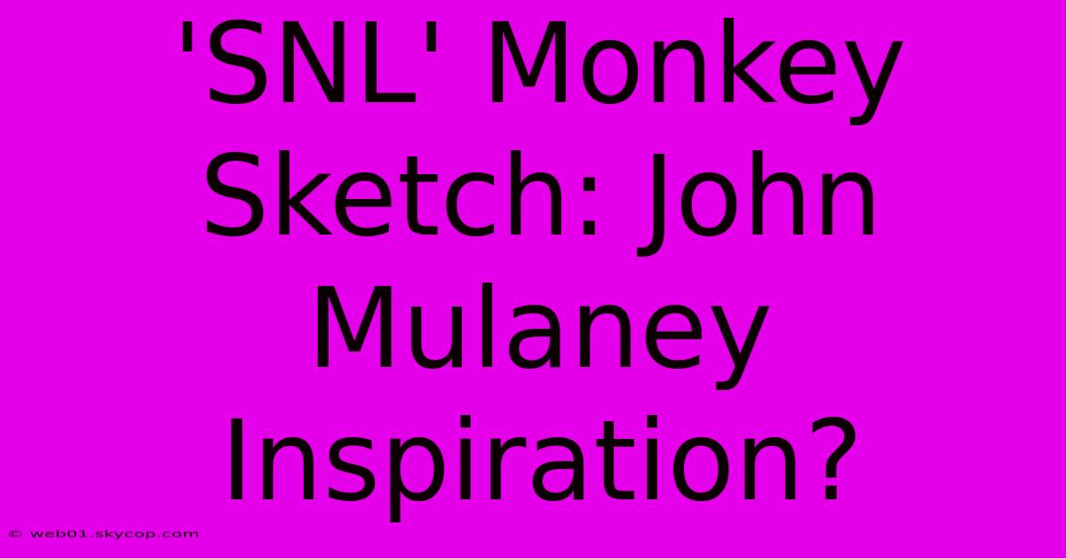 'SNL' Monkey Sketch: John Mulaney Inspiration?