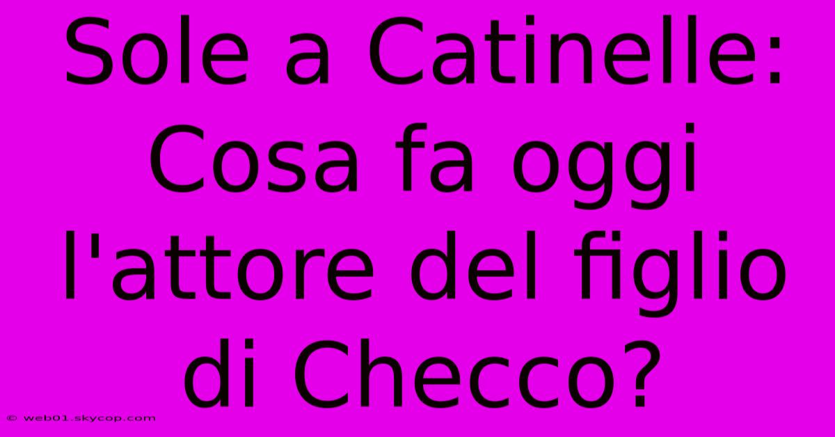 Sole A Catinelle: Cosa Fa Oggi L'attore Del Figlio Di Checco? 