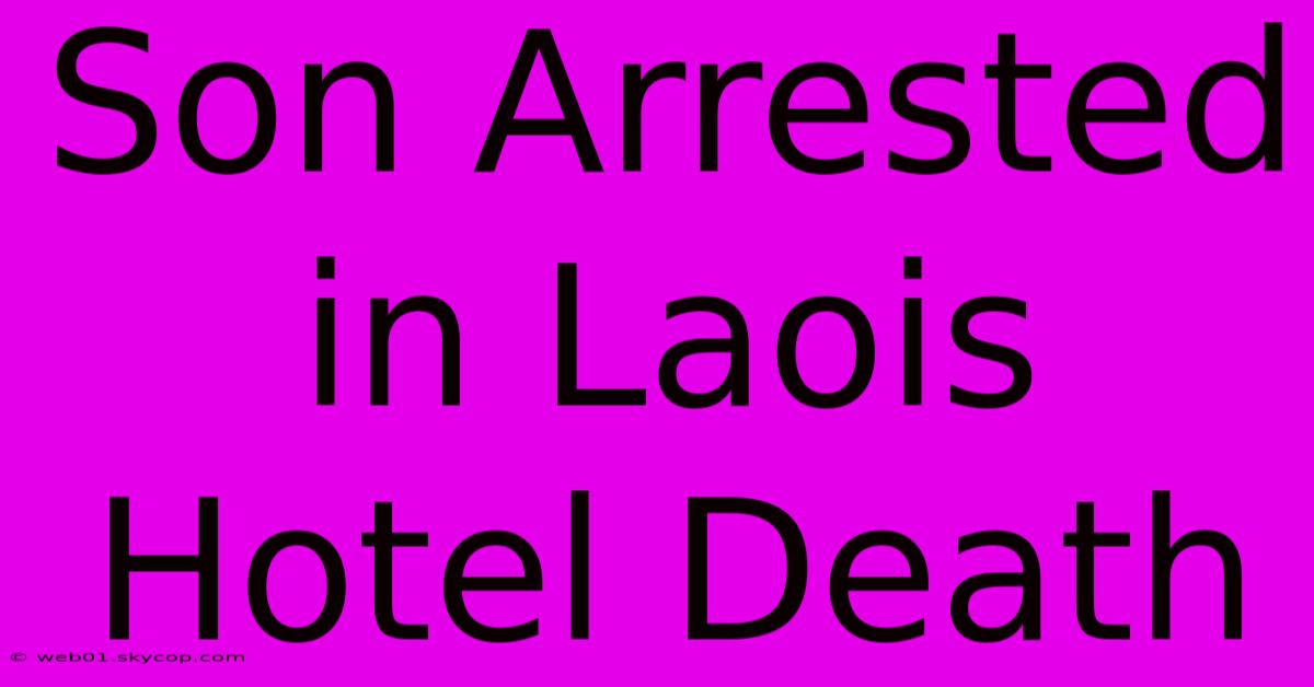 Son Arrested In Laois Hotel Death