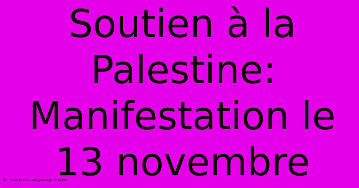 Soutien À La Palestine: Manifestation Le 13 Novembre