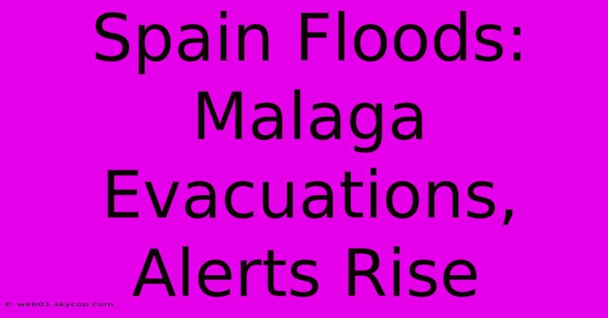 Spain Floods: Malaga Evacuations, Alerts Rise