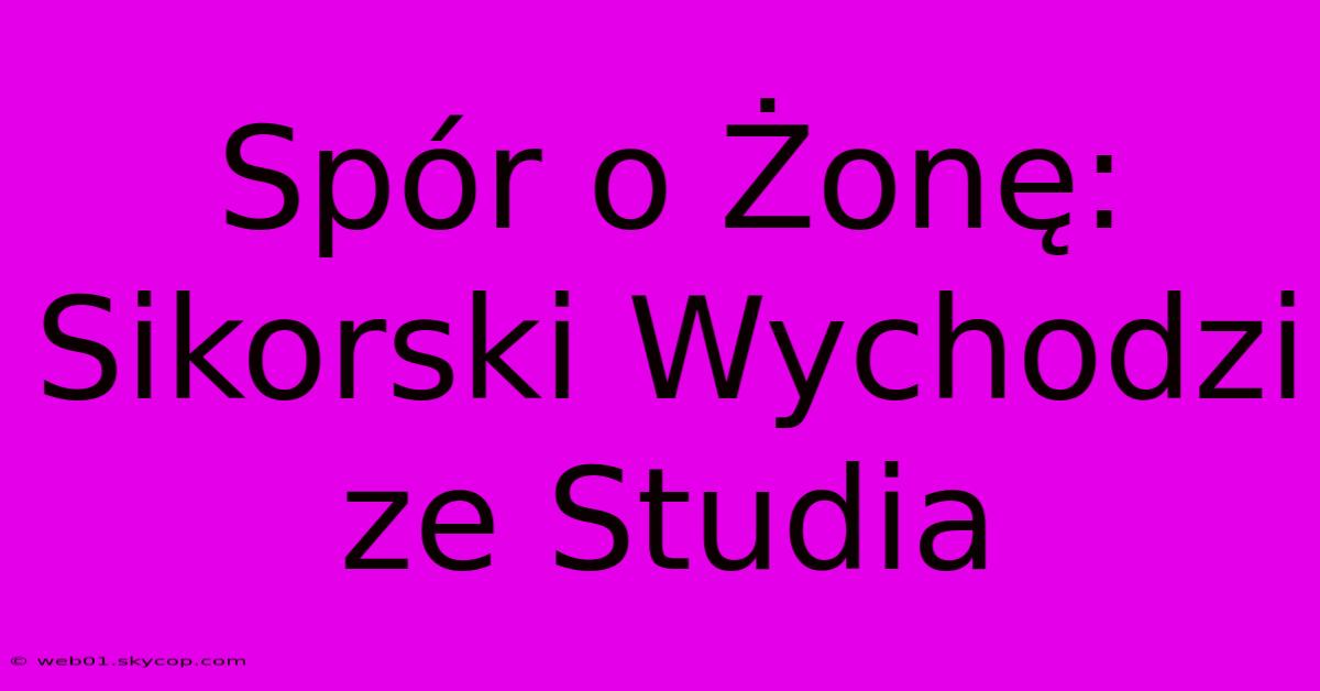 Spór O Żonę: Sikorski Wychodzi Ze Studia