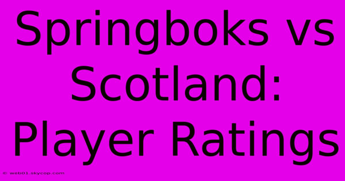 Springboks Vs Scotland: Player Ratings