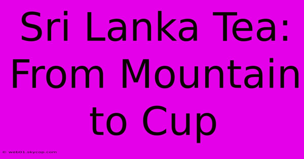 Sri Lanka Tea: From Mountain To Cup