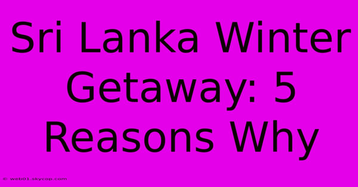 Sri Lanka Winter Getaway: 5 Reasons Why