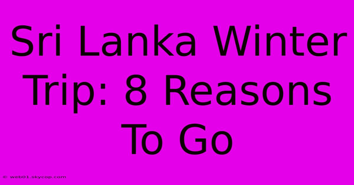 Sri Lanka Winter Trip: 8 Reasons To Go