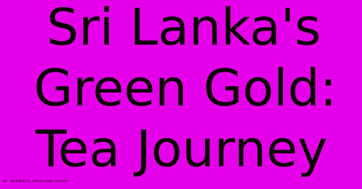 Sri Lanka's Green Gold: Tea Journey