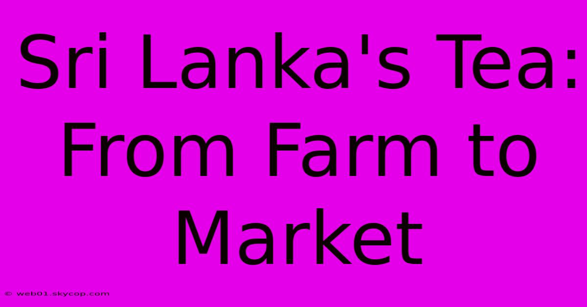 Sri Lanka's Tea: From Farm To Market