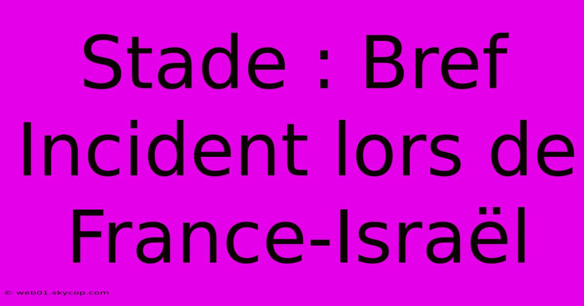 Stade : Bref Incident Lors De France-Israël