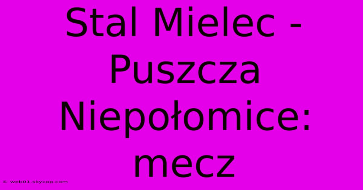 Stal Mielec - Puszcza Niepołomice: Mecz 