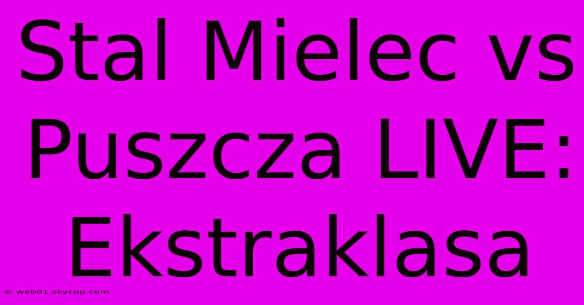 Stal Mielec Vs Puszcza LIVE: Ekstraklasa