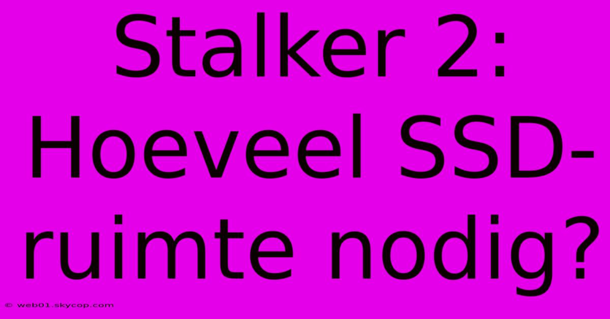 Stalker 2: Hoeveel SSD-ruimte Nodig?