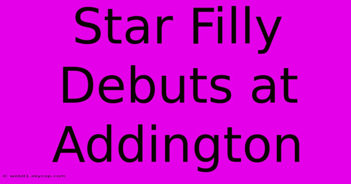 Star Filly Debuts At Addington