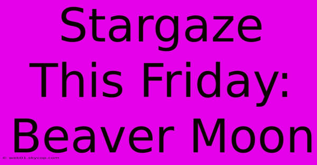 Stargaze This Friday: Beaver Moon