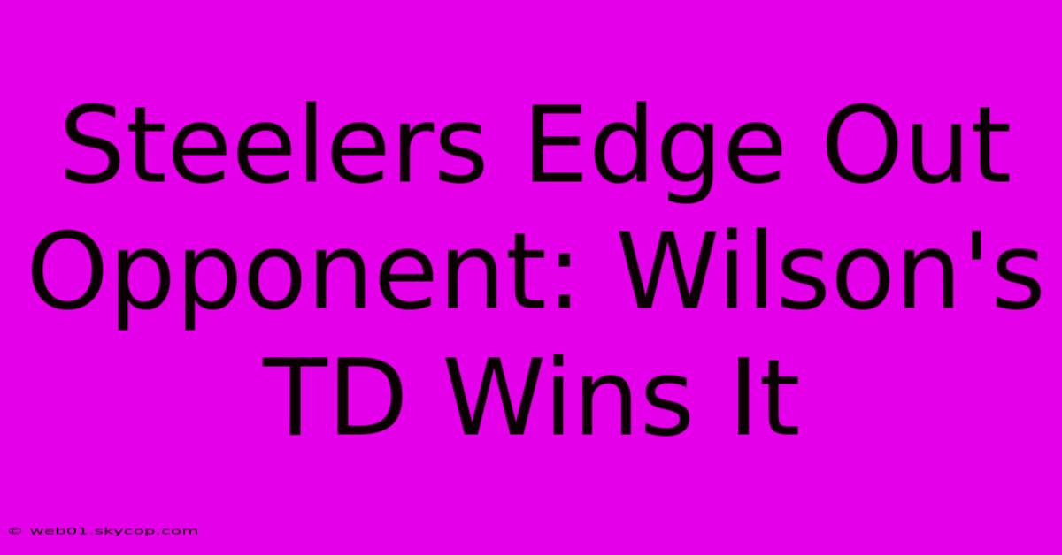 Steelers Edge Out Opponent: Wilson's TD Wins It