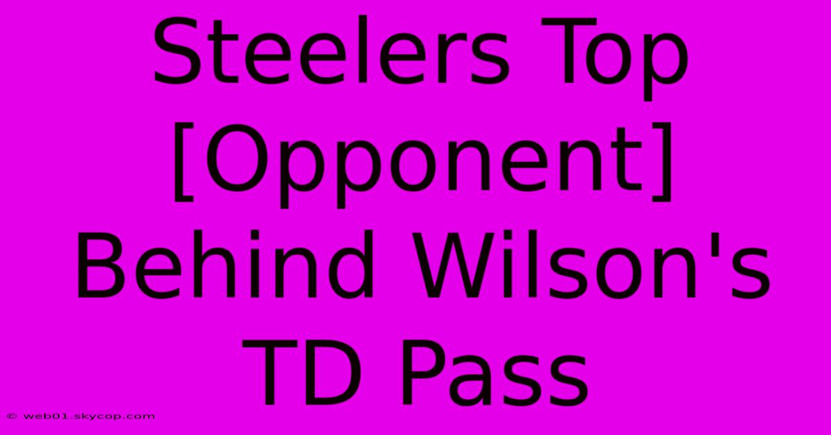 Steelers Top [Opponent] Behind Wilson's TD Pass 