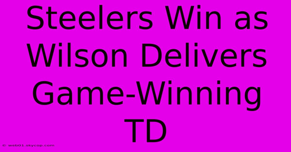 Steelers Win As Wilson Delivers Game-Winning TD