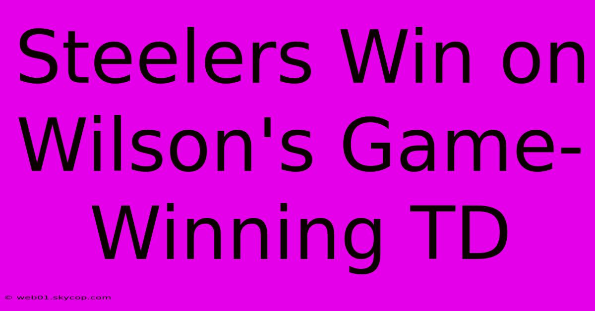 Steelers Win On Wilson's Game-Winning TD