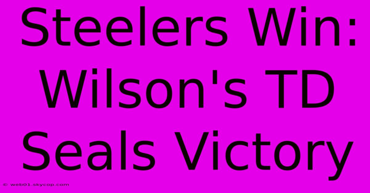 Steelers Win: Wilson's TD Seals Victory