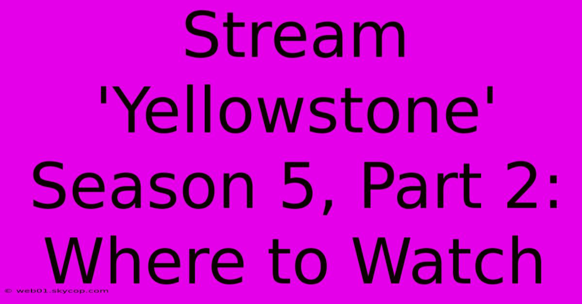 Stream 'Yellowstone' Season 5, Part 2: Where To Watch