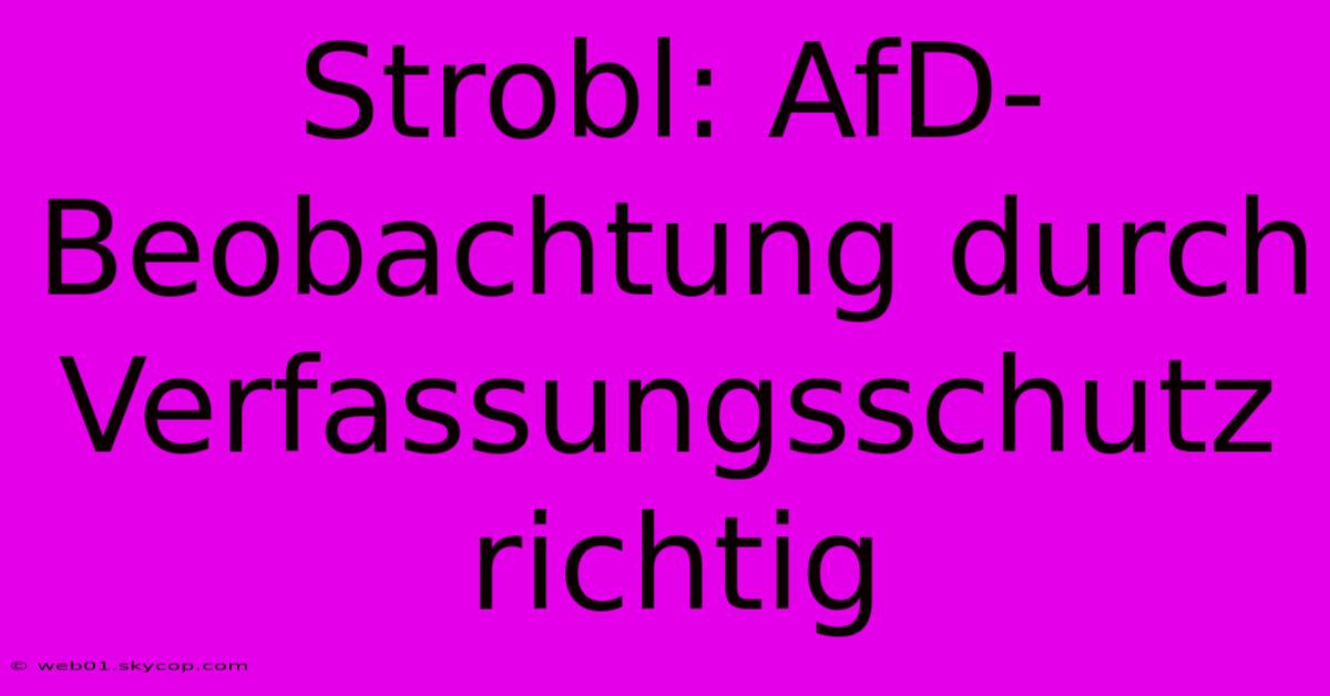 Strobl: AfD-Beobachtung Durch Verfassungsschutz Richtig