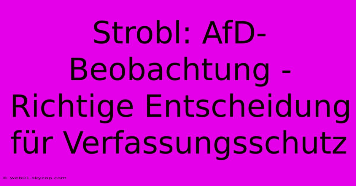 Strobl: AfD-Beobachtung - Richtige Entscheidung Für Verfassungsschutz