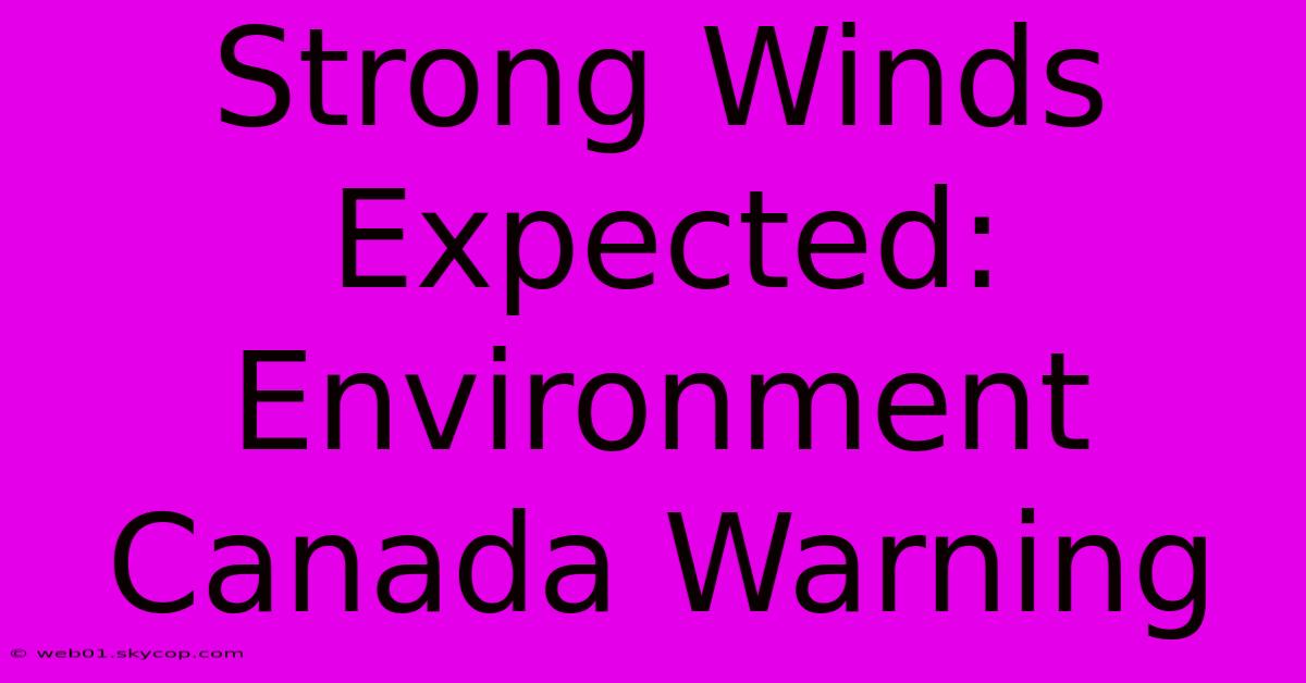 Strong Winds Expected: Environment Canada Warning