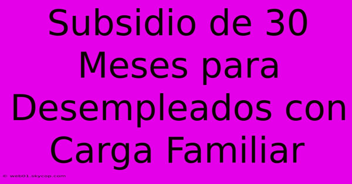 Subsidio De 30 Meses Para Desempleados Con Carga Familiar